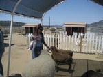 IMG_1491.JPG
