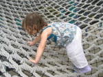 IMG_3649.JPG